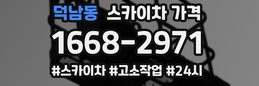 덕남동 스카이차 가격