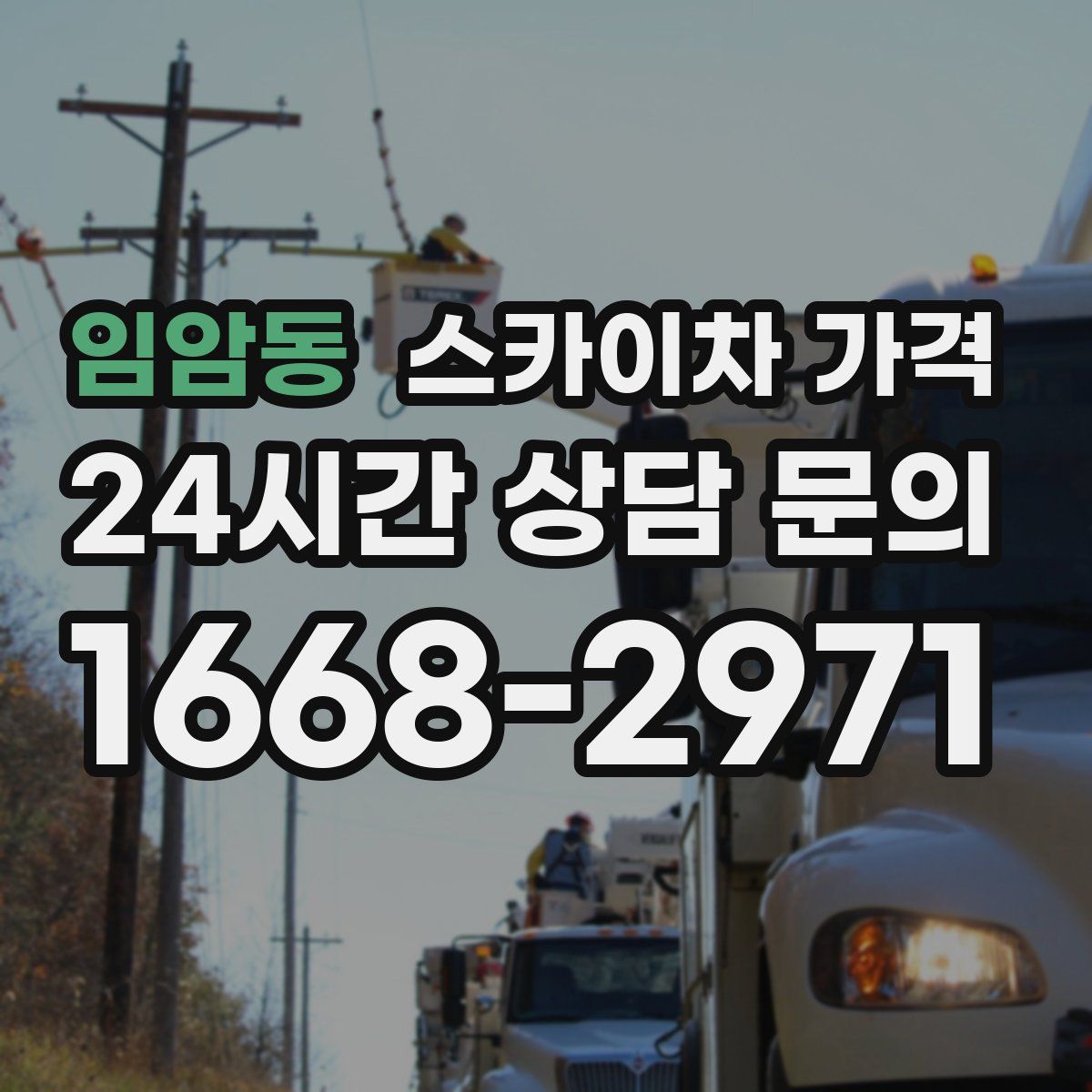 임암동 스카이차 가격