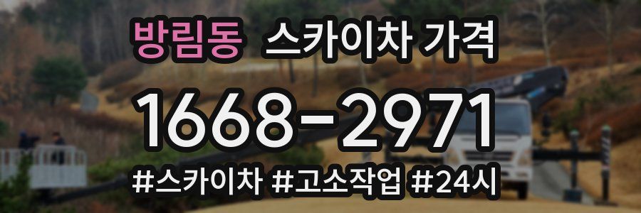 방림동 스카이차 가격