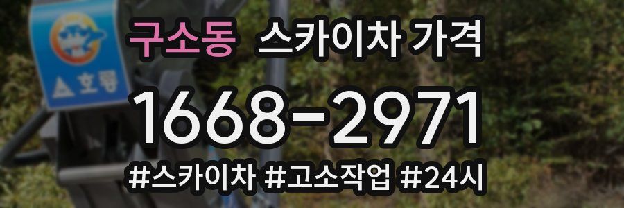 구소동 스카이차 가격