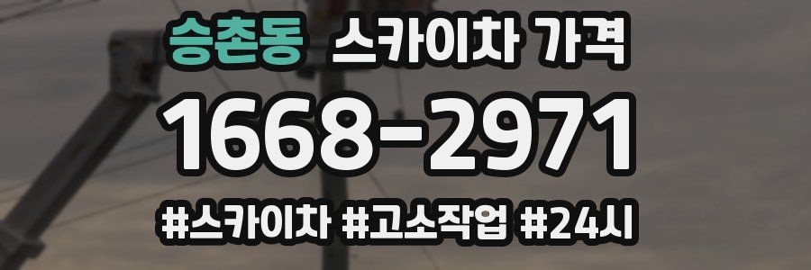 승촌동 스카이차 가격