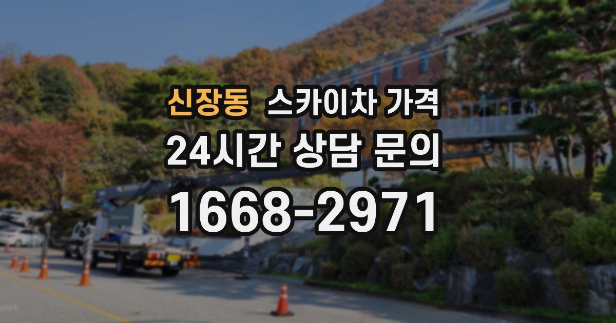 신장동 스카이차 가격