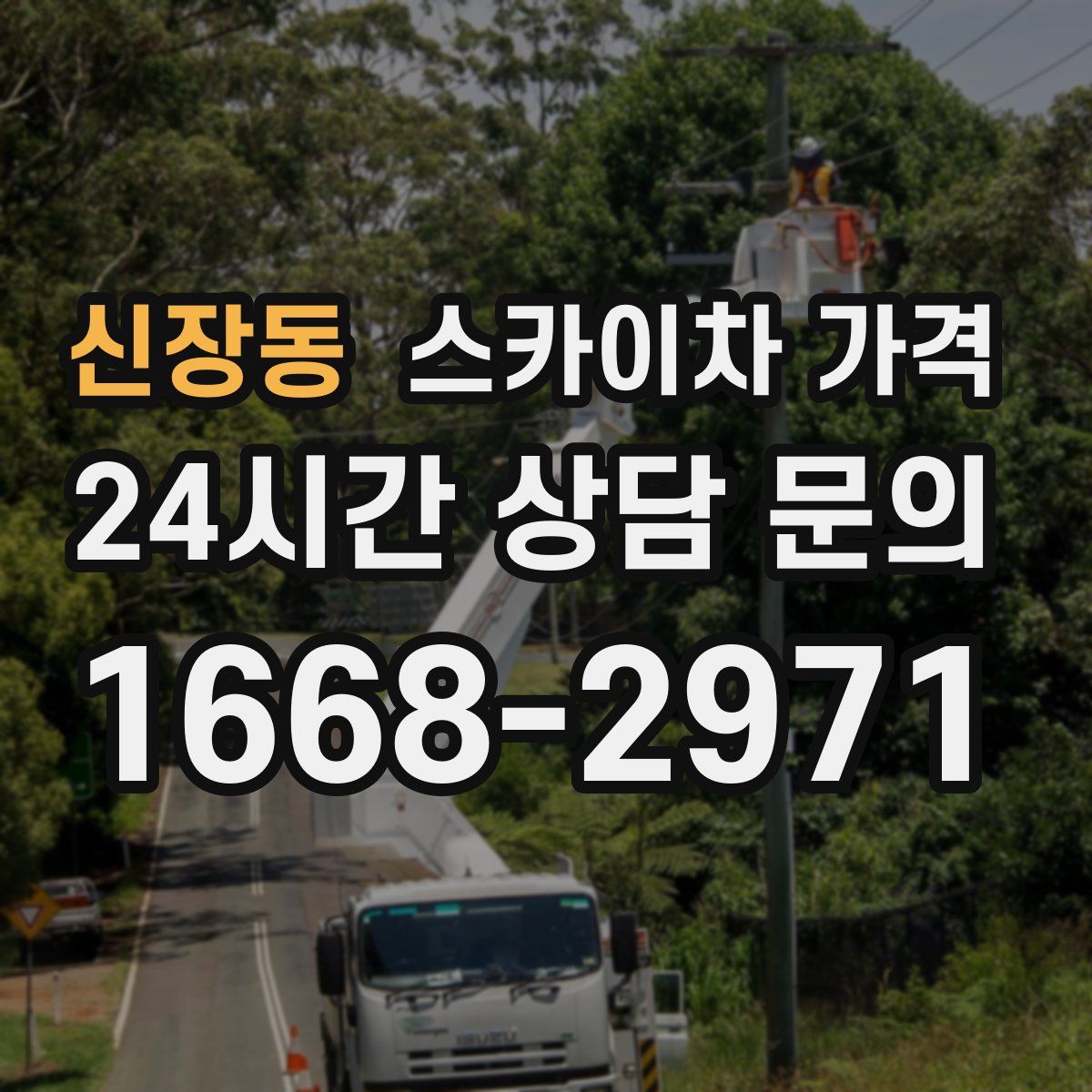 신장동 스카이차 가격