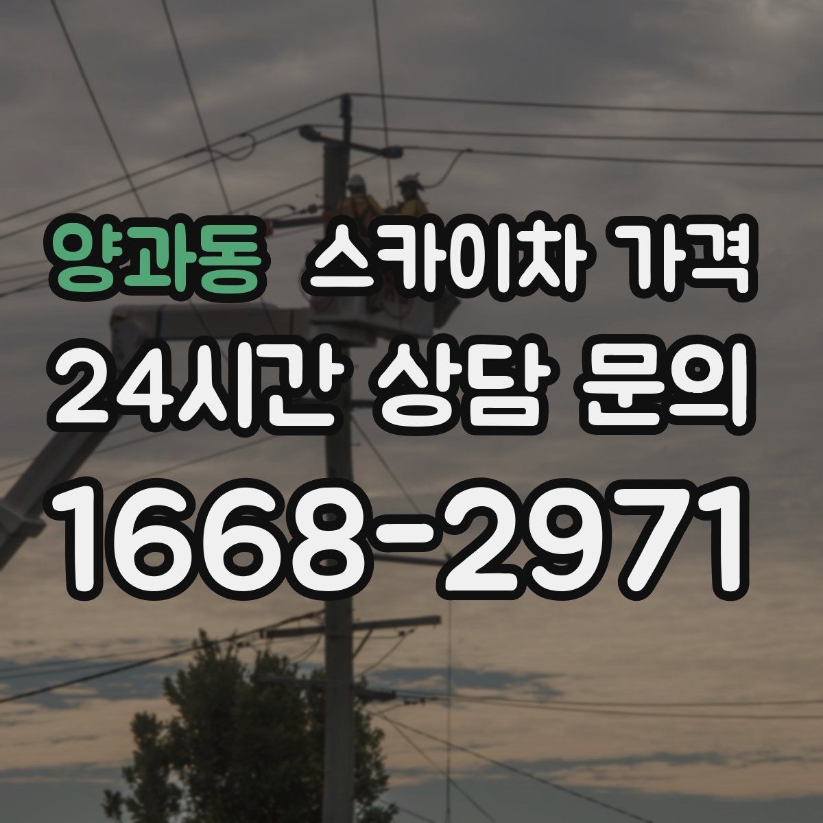 양과동 스카이차 가격 날씨 변수까지 감안한 일정 잡는 방법