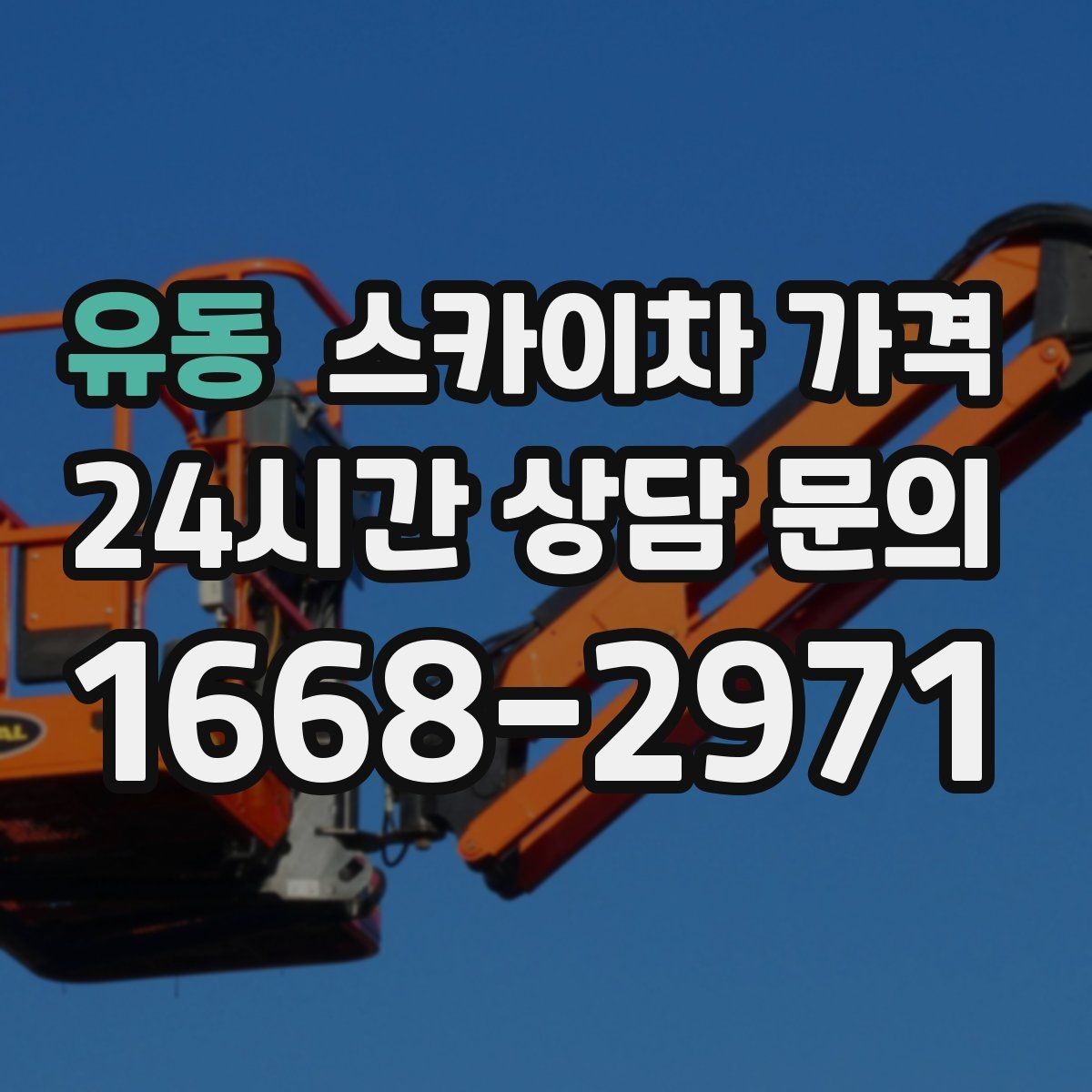 유동 스카이차 가격 견적이 낮아도 조건이 다르면 의미가 없습니다