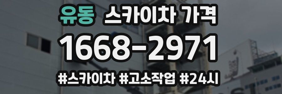 유동 스카이차 가격