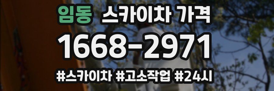 임동 스카이차 가격