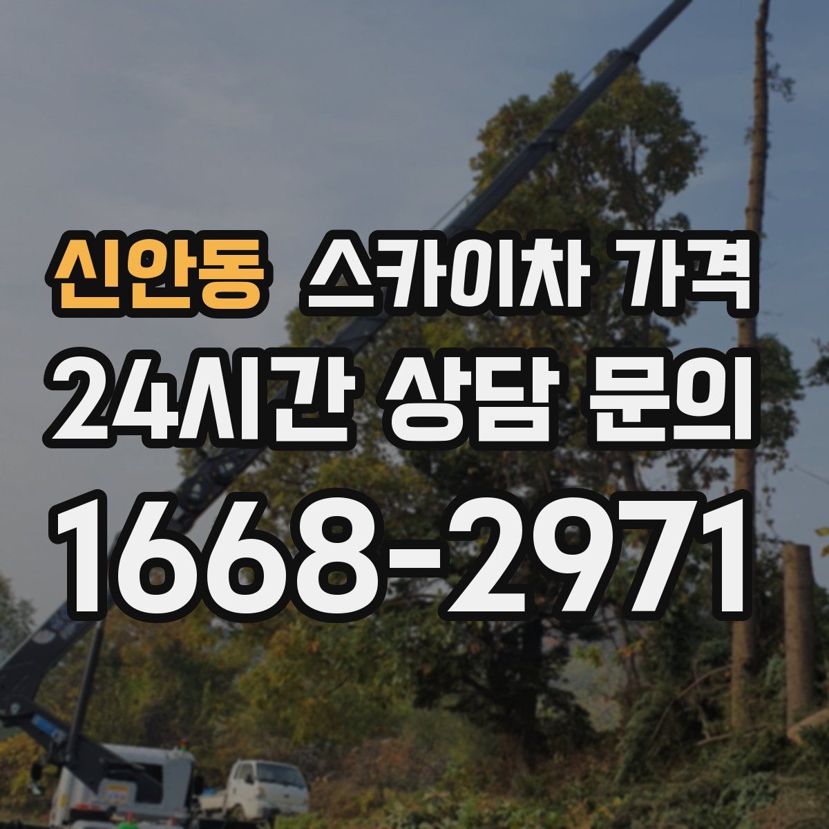 신안동 스카이차 가격