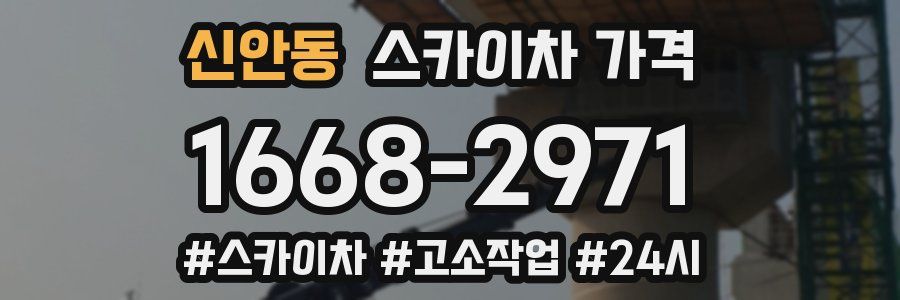 신안동 스카이차 가격