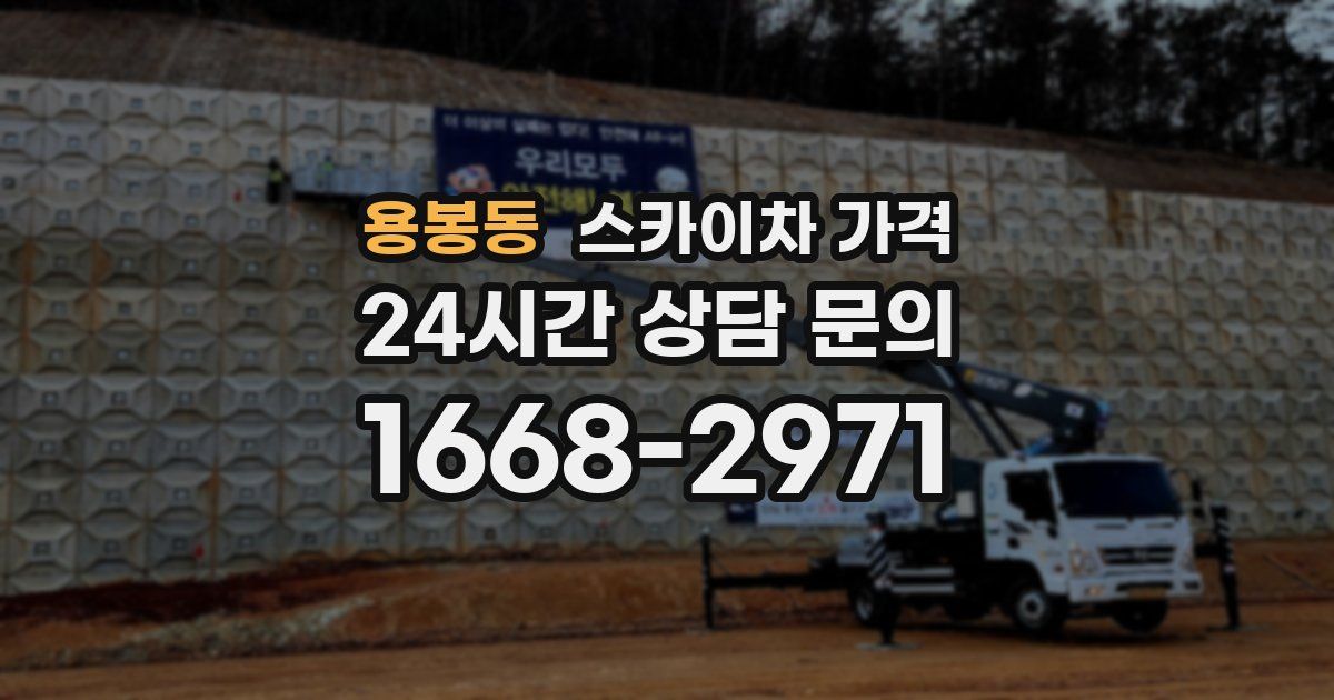 용봉동 스카이차 가격