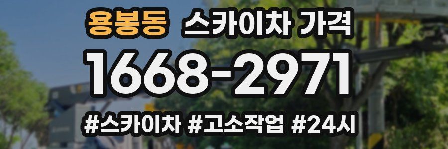 용봉동 스카이차 가격