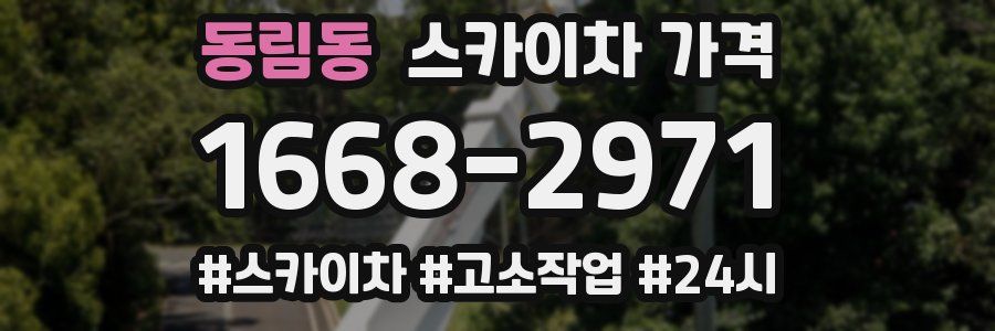 동림동 스카이차 가격