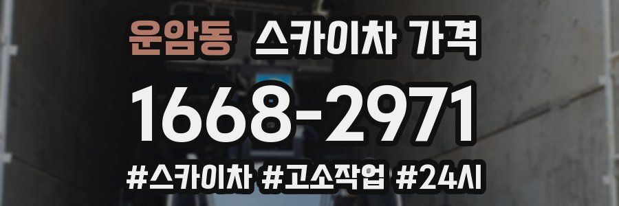 운암동 스카이차 가격