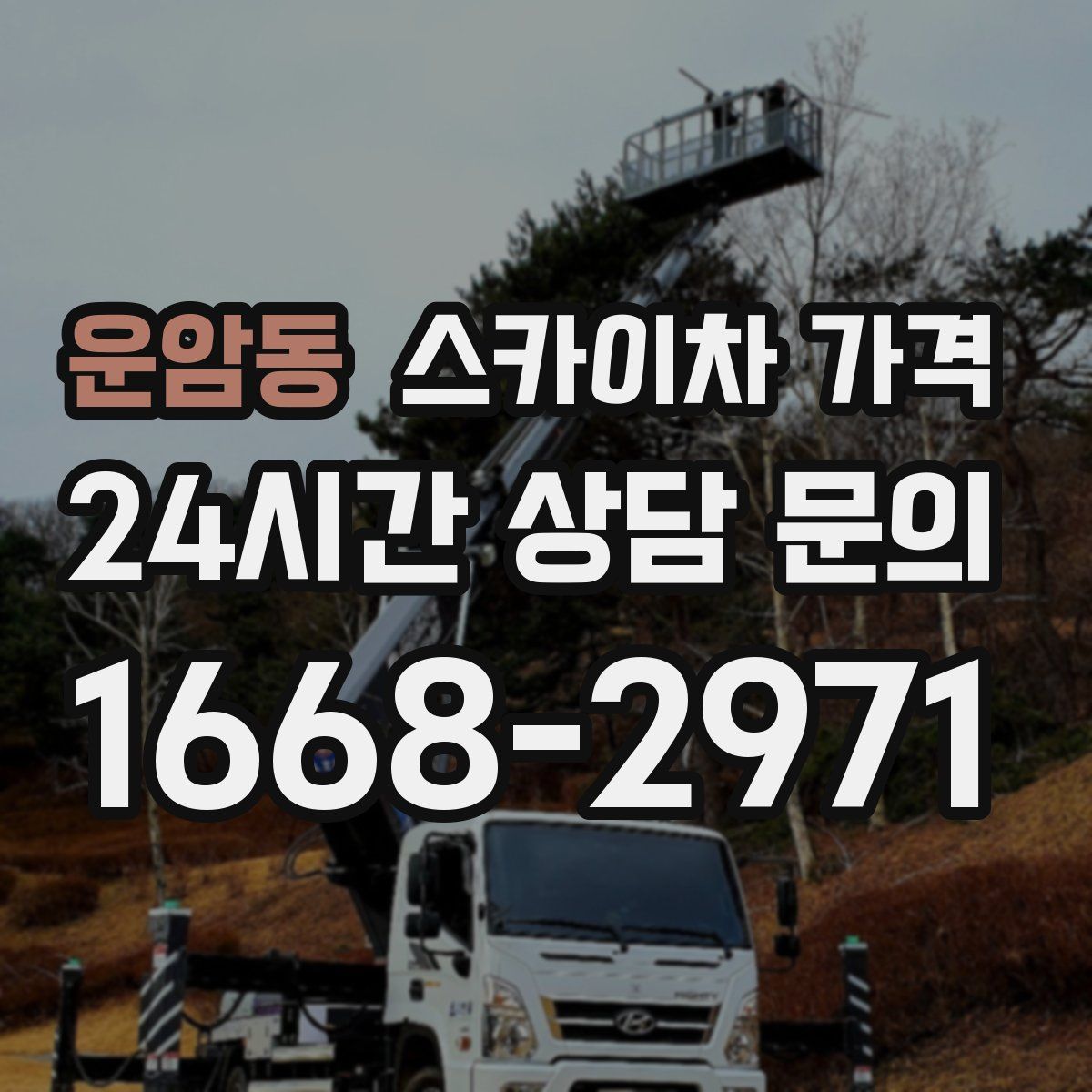 운암동 스카이차 가격