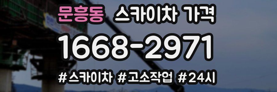 문흥동 스카이차 가격