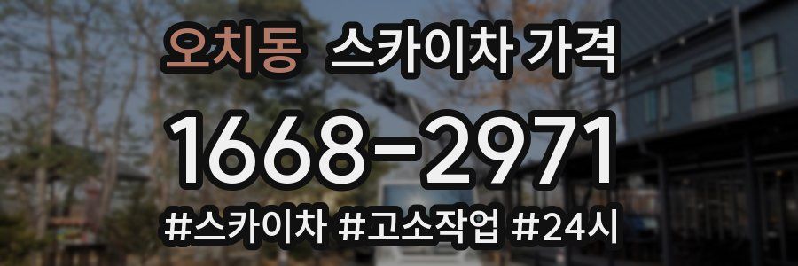 오치동 스카이차 가격