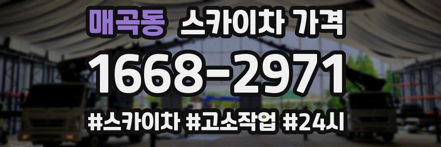 매곡동 스카이차 가격