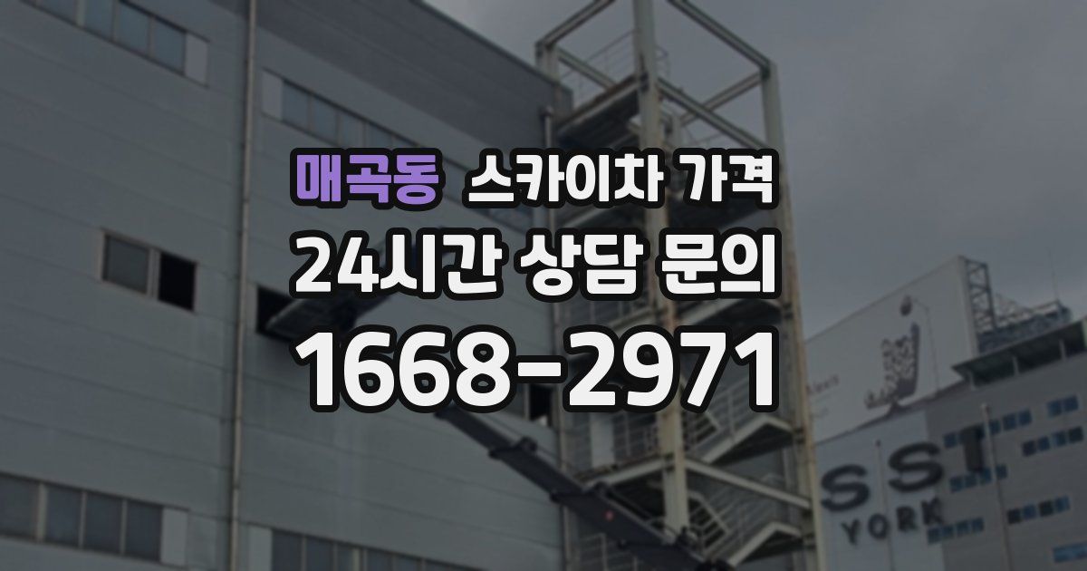 매곡동 스카이차 가격