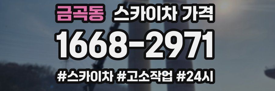 금곡동 스카이차 가격