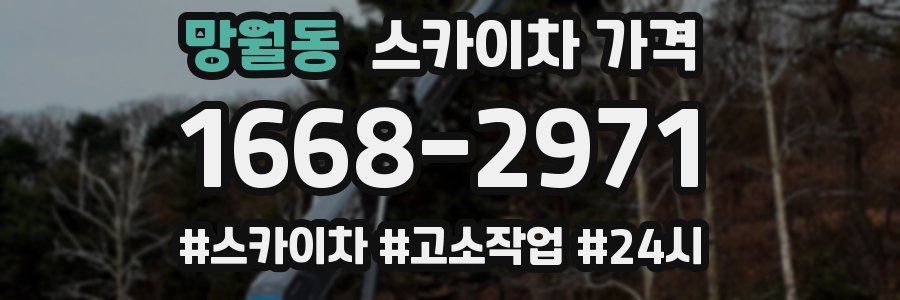 망월동 스카이차 가격