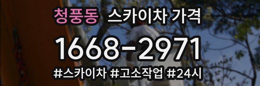 청풍동 스카이차 가격