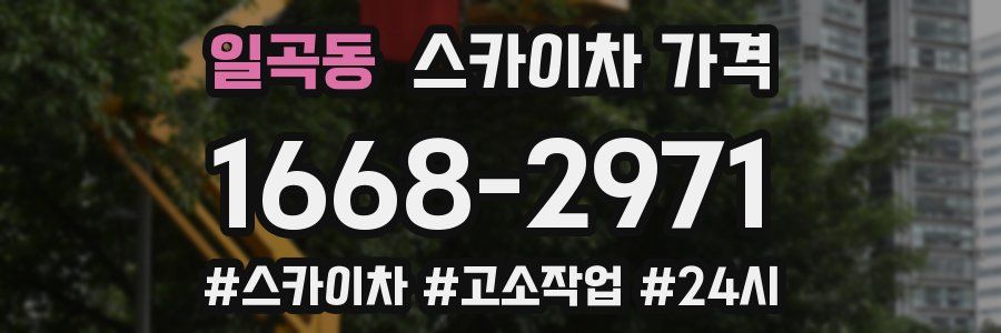 일곡동 스카이차 가격