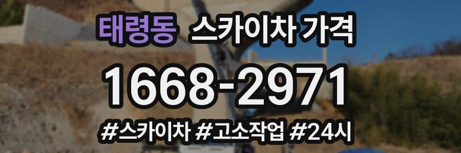 태령동 스카이차 가격