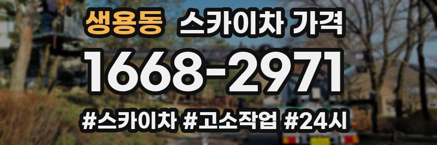 생용동 스카이차 가격