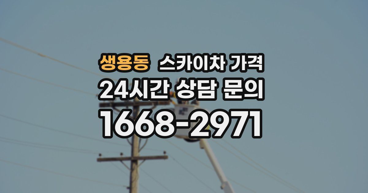 생용동 스카이차 가격