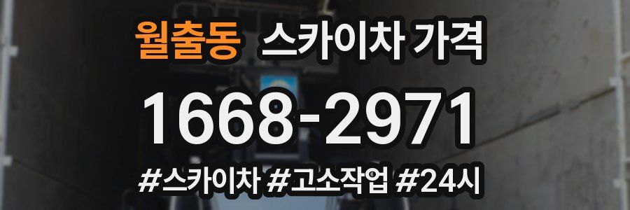 월출동 스카이차 가격