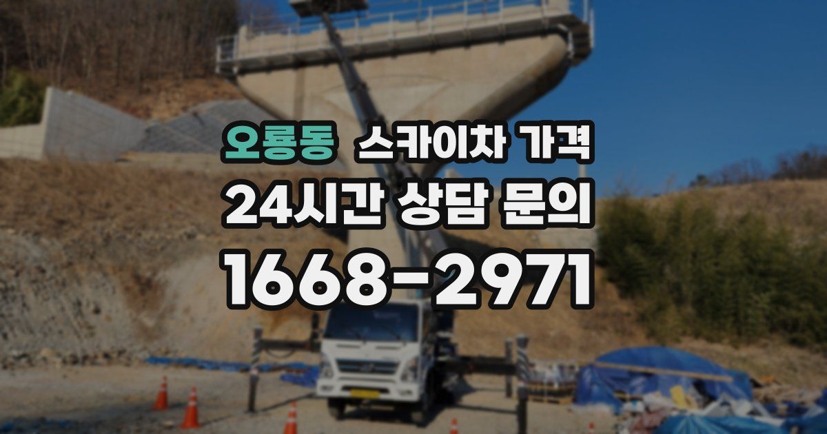 오룡동 스카이차 가격