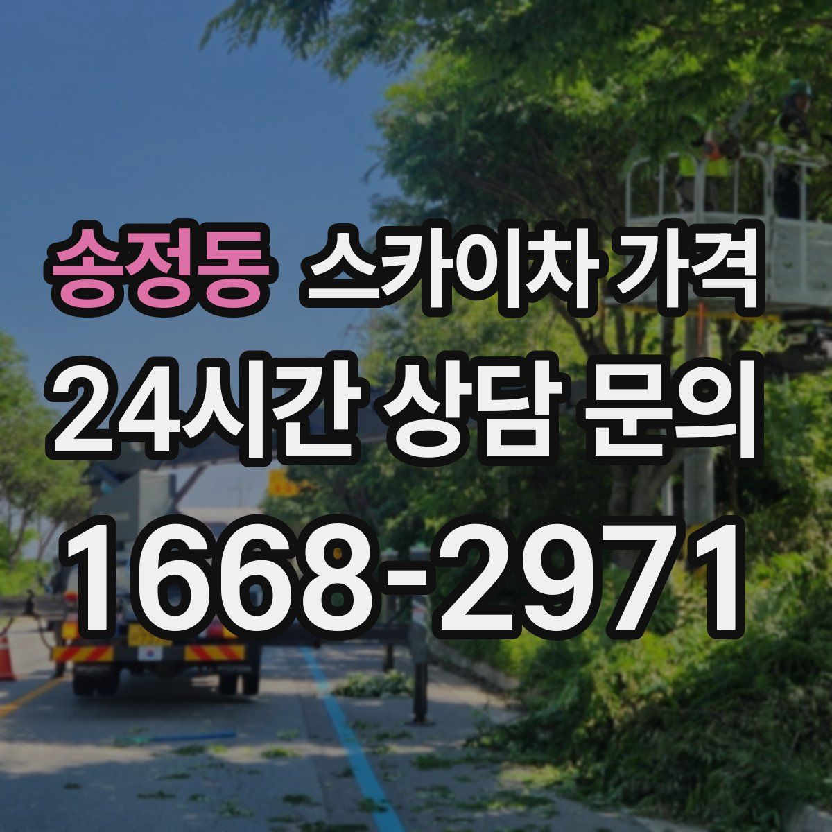 송정동 스카이차 가격