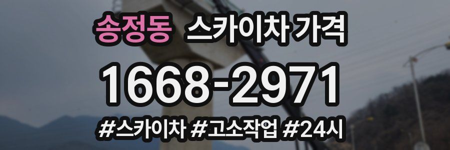 송정동 스카이차 가격