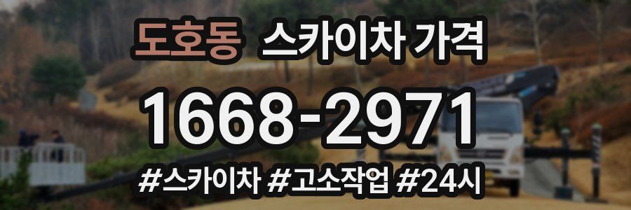 도호동 스카이차 가격