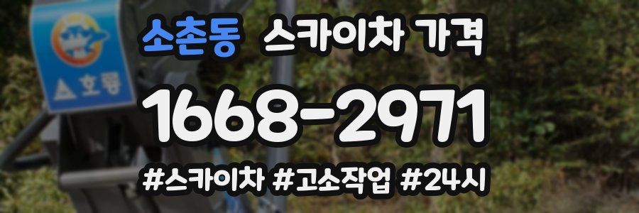 소촌동 스카이차 가격