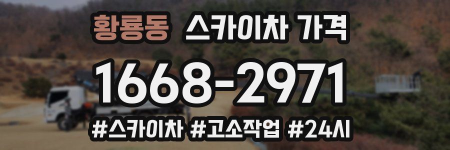 황룡동 스카이차 가격