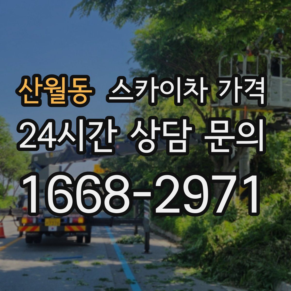 산월동 스카이차 가격