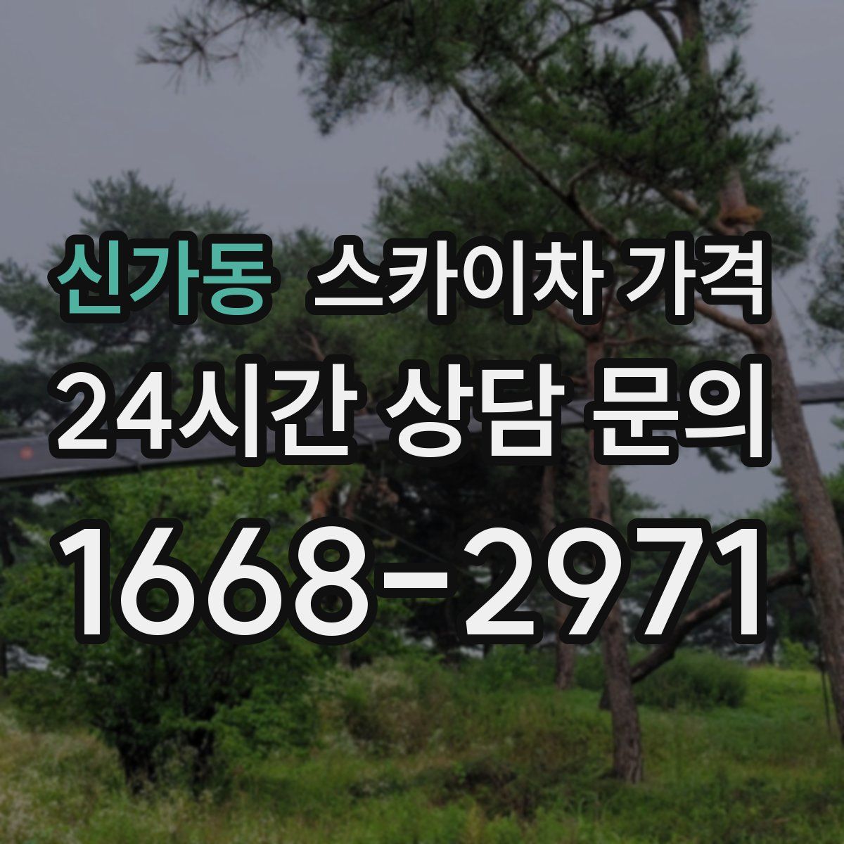 신가동 스카이차 가격