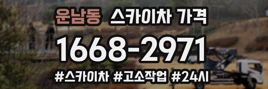 운남동 스카이차 가격