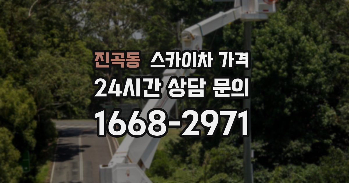 진곡동 스카이차 가격