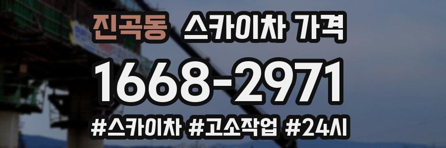 진곡동 스카이차 가격