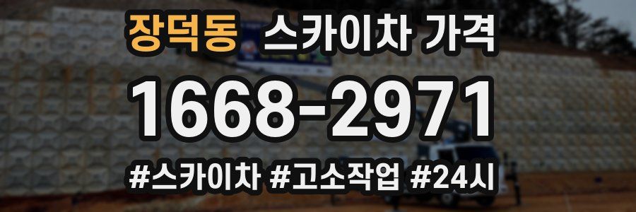 장덕동 스카이차 가격