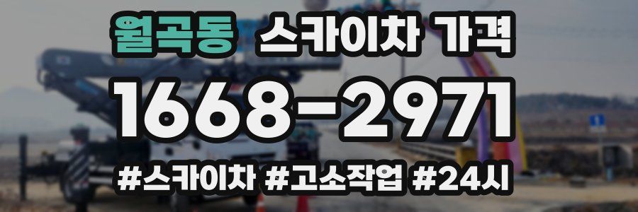 월곡동 스카이차 가격