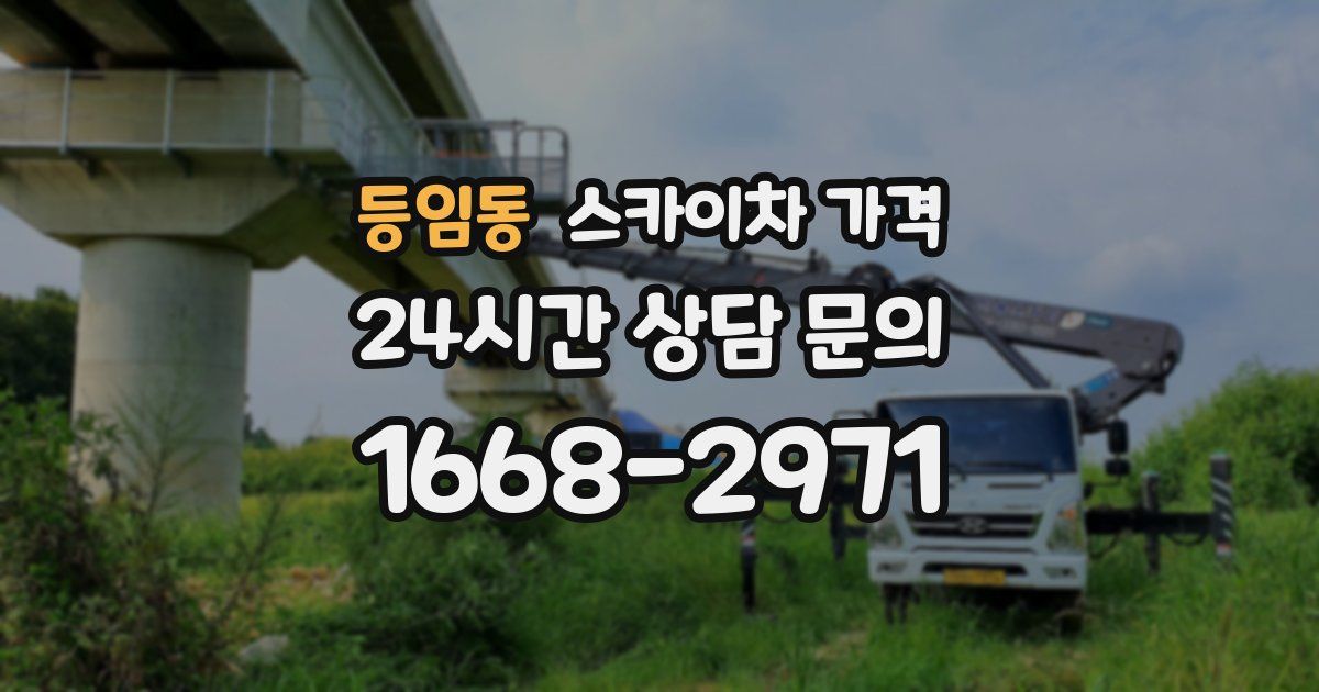 등임동 스카이차 가격