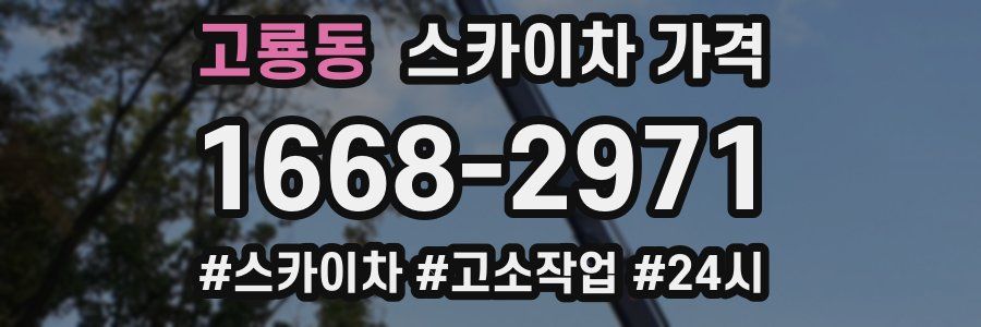 고룡동 스카이차 가격