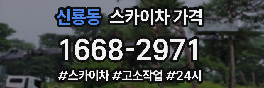 신룡동 스카이차 가격