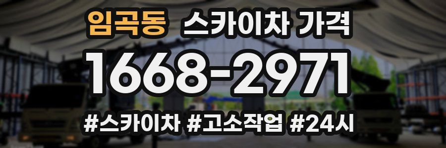 임곡동 스카이차 가격