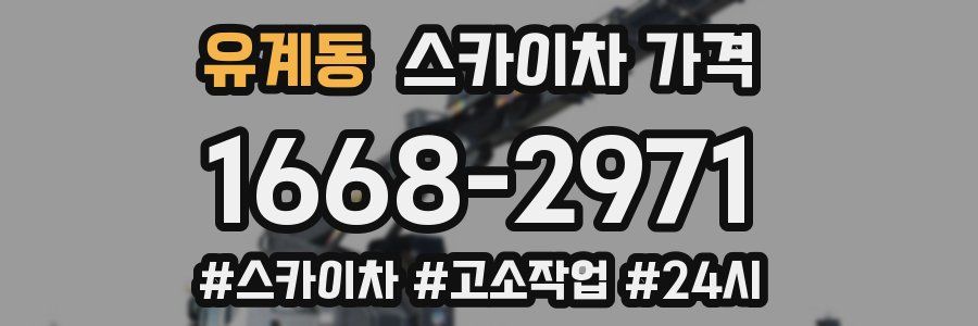 유계동 스카이차 가격