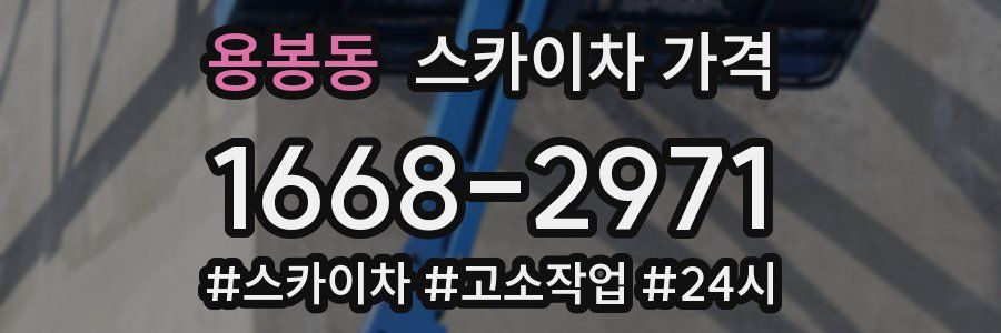 용봉동 스카이차 가격