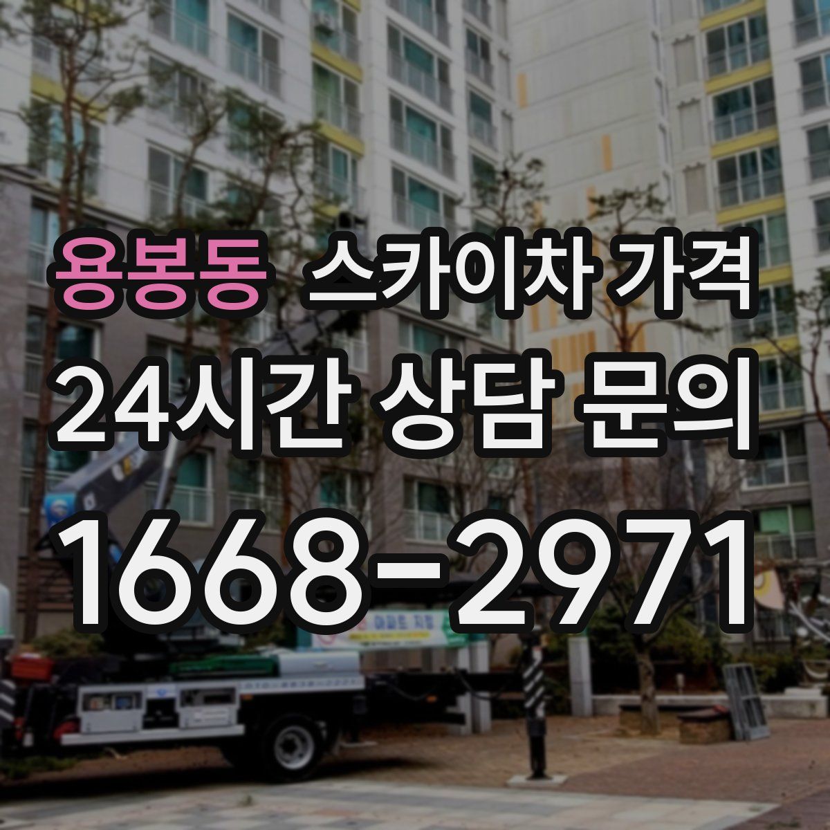 용봉동 스카이차 가격